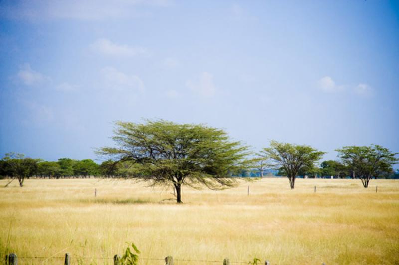 Paisaje de Cesar, Valledupar, Colombia