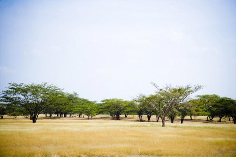 Paisaje de Cesar, Valledupar, Colombia