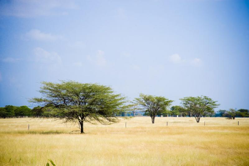 Paisaje de Cesar, Valledupar, Colombia