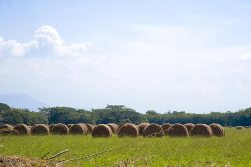 Campo de Heno, Valledupar, Cesar, Colombia