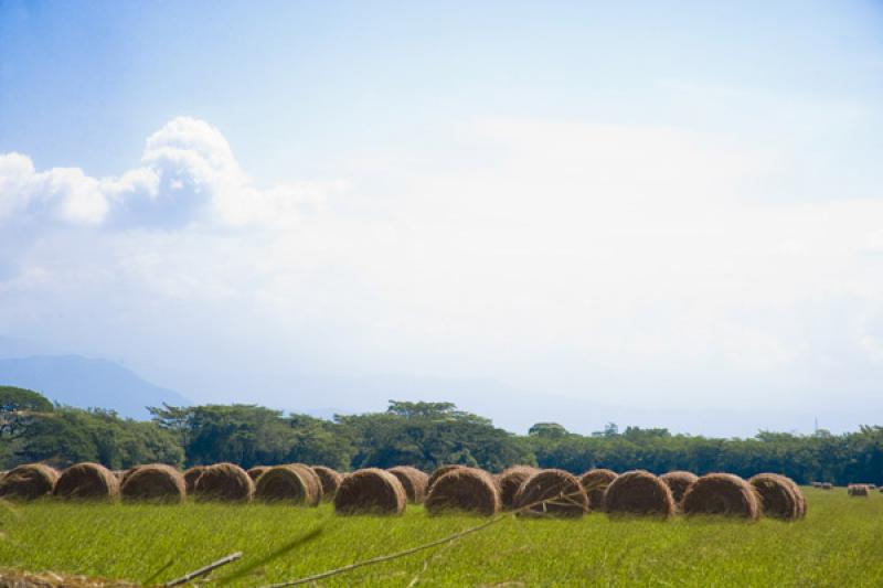 Campo de Heno, Valledupar, Cesar, Colombia