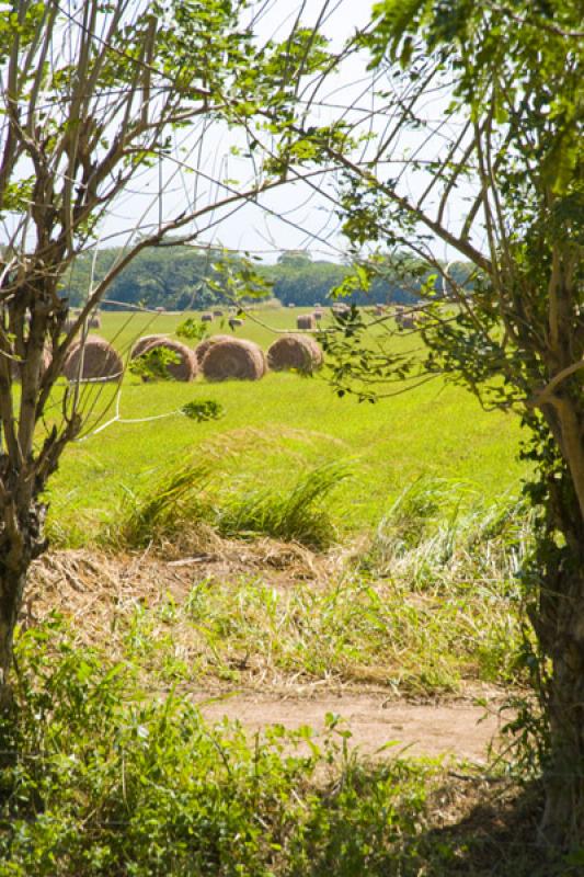 Campo de Heno, Valledupar, Cesar, Colombia