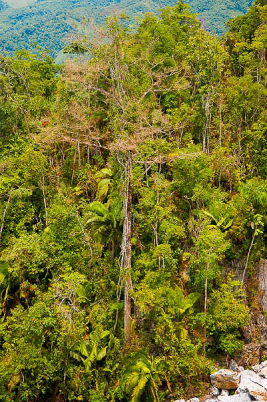 Reserva Natural CaÃ±on del Rio Claro, Antioquia,...