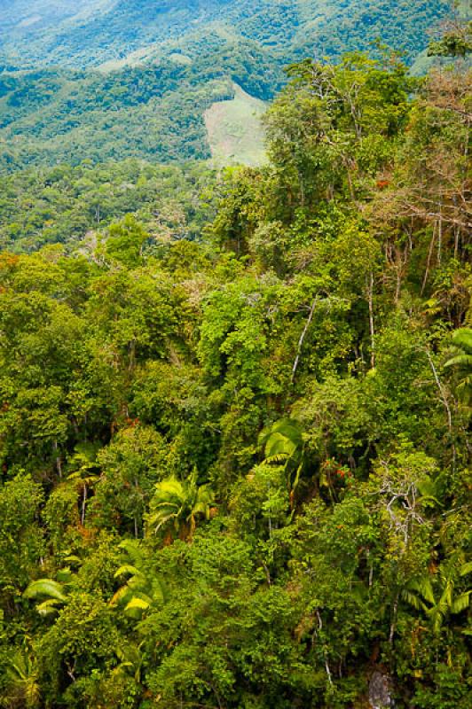 Reserva Natural CaÃ±on del Rio Claro, Antioquia,...