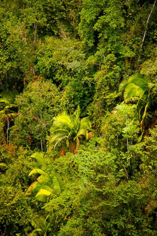 Reserva Natural CaÃ±on del Rio Claro, Antioquia,...