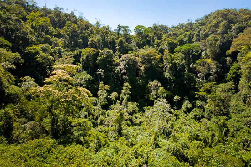 Reserva Natural CaÃ±on del Rio Claro, Antioquia,...