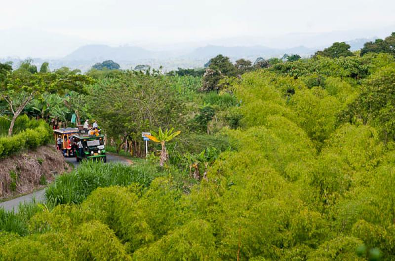 Desfile Tradicional, Eje Cafetero, Quindio, Armeni...