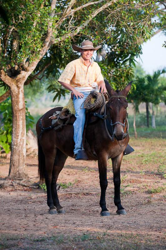 Hombre a Caballo