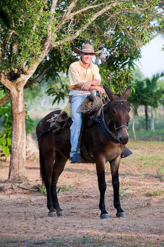 Hombre a Caballo