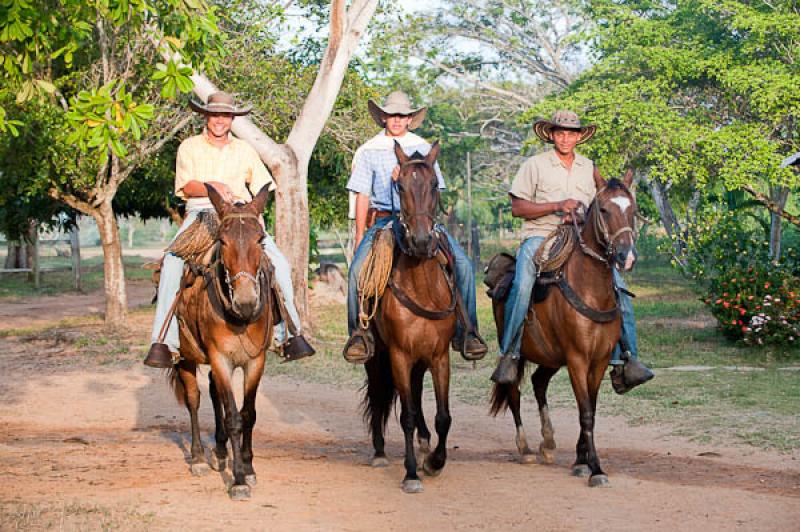 Hombres a Caballo