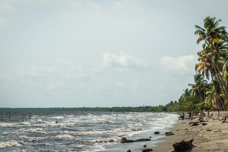 Playa Zona el Frances, Tolu, Sucre, Colombia