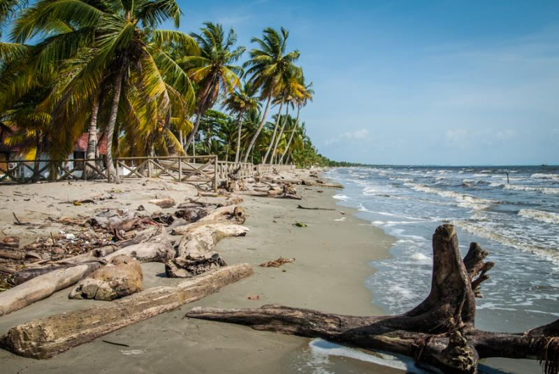 Playa Zona el Frances, Tolu, Sucre, Colombia