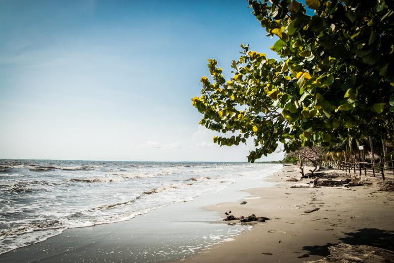 Playa Zona el Frances, Tolu, Sucre, Colombia