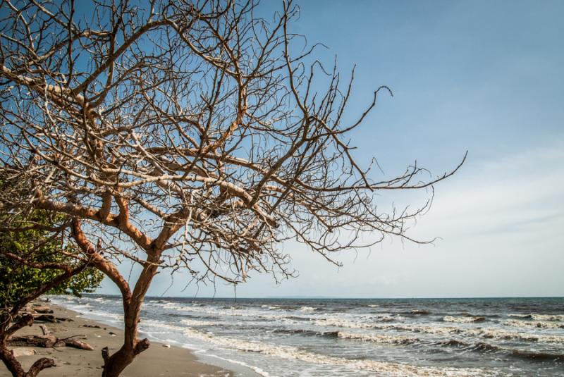 Playa Zona el Frances, Tolu, Sucre, Colombia