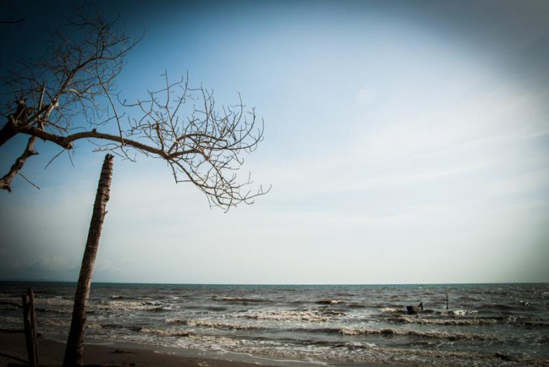 Playa Zona el Frances, Tolu, Sucre, Colombia