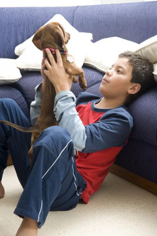 NiÃ±o con su Cachorro