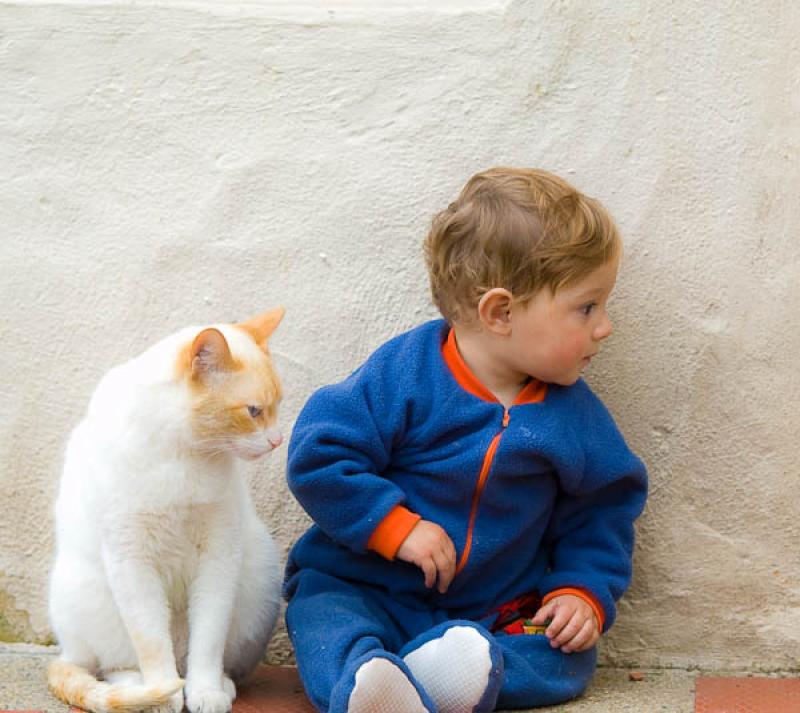 NiÃ±o con su Mascota