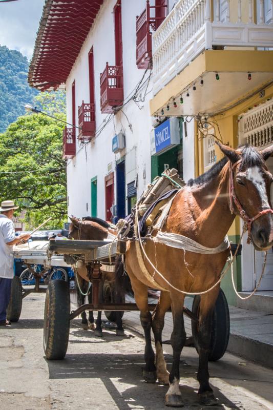 Primer Plano de una Carreta, Andes, Antioquia, Col...