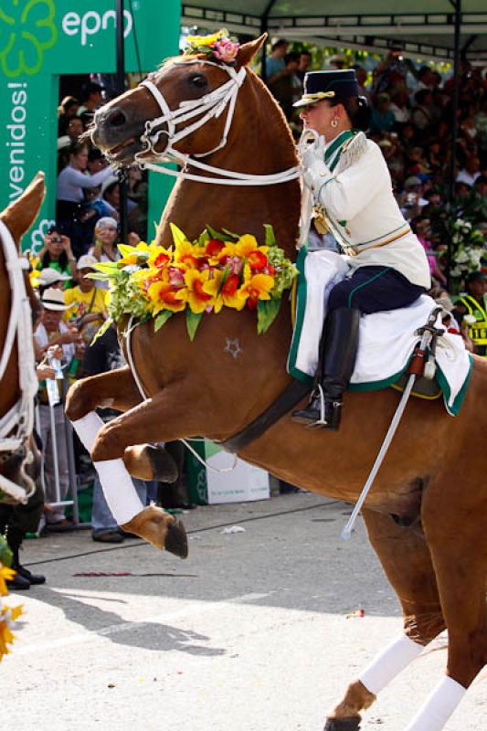 Cabalgata de las Flores, Feria de las Flores, Mede...