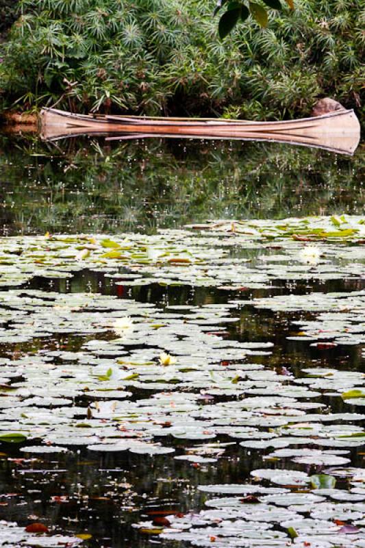 Jardin Botanico de Medellin Joaquin Antonio Uribe,...