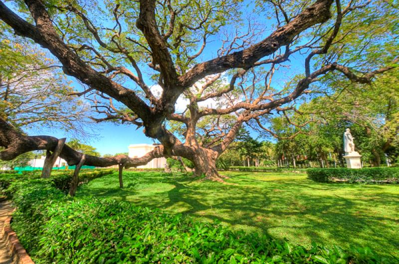 Jardin Botanico Quinta de San Pedro Alejandrino, S...