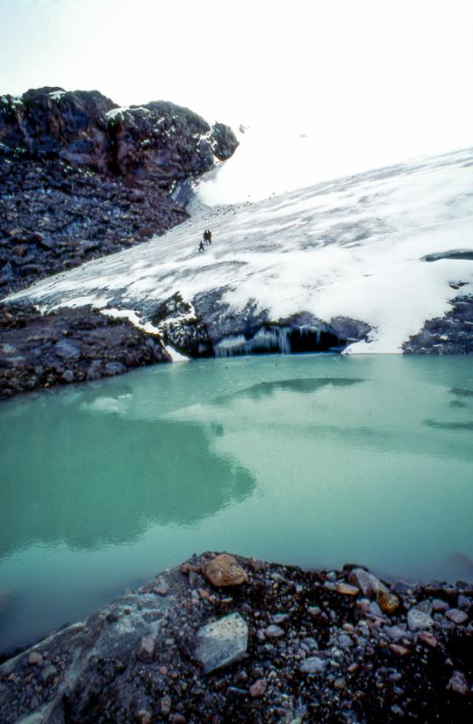 Parque de Nacional de los Nevados, Caldas, Colombi...