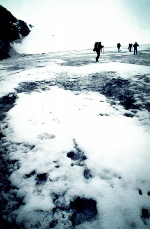 Parque de Nacional de los Nevados, Caldas, Colombi...