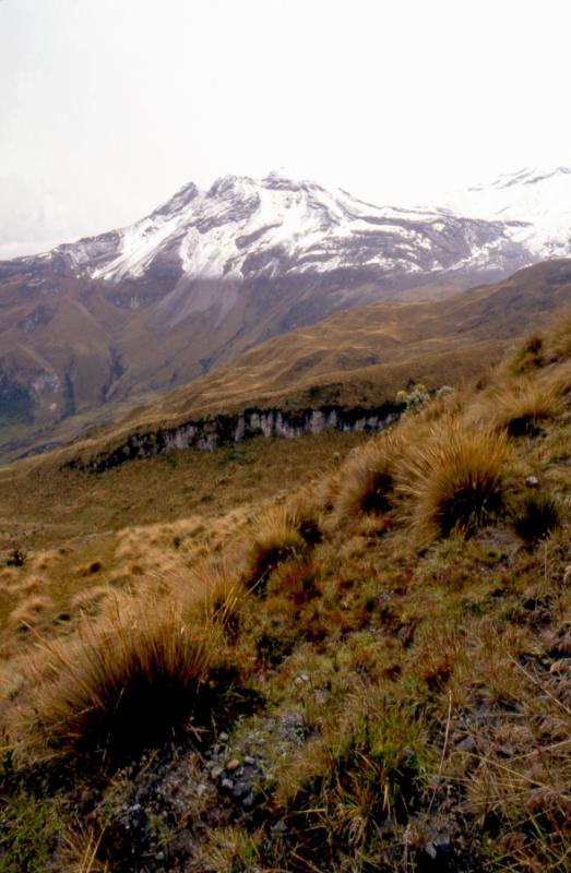 Parque de Nacional de los Nevados, Caldas, Colombi...