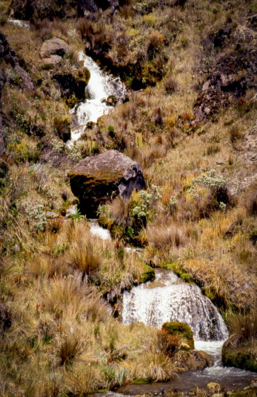 Parque de Nacional de los Nevados, Caldas, Colombi...