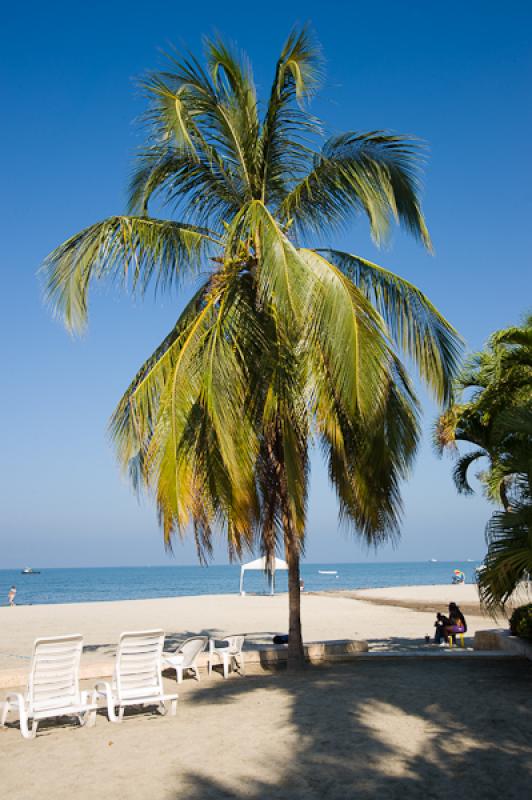 El Rodadero, Santa Marta, Magdalena, Colombia