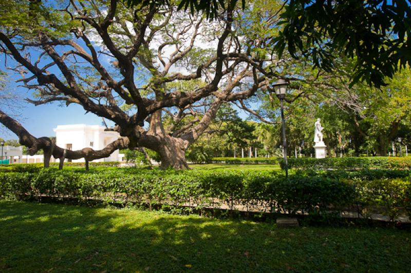 Jardin Botanico Quinta de San Pedro Alejandrino, S...