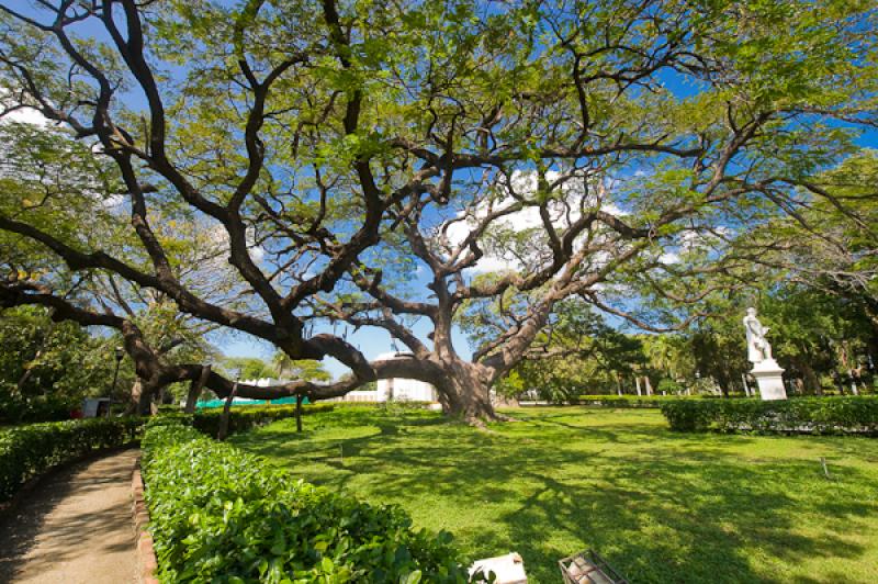 Jardin Botanico Quinta de San Pedro Alejandrino, S...