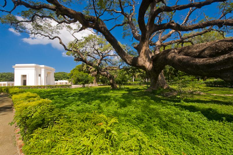 Jardin Botanico Quinta de San Pedro Alejandrino, S...