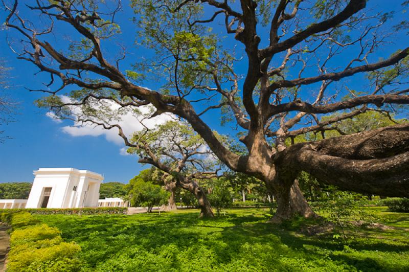 Jardin Botanico Quinta de San Pedro Alejandrino, S...