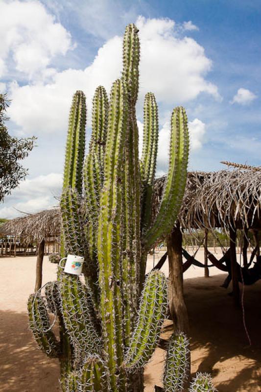 Rancheria Wayuu, Cabo de la Vela, Peninsula de la ...