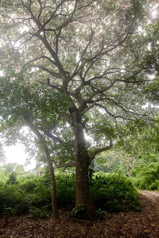 Dibulla, La Guajira, Riohacha, Colombia