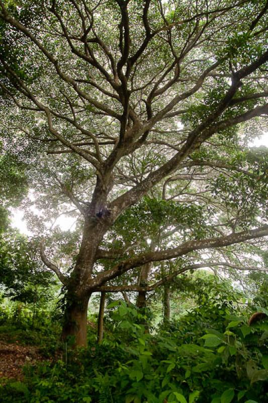 Dibulla, La Guajira, Riohacha, Colombia