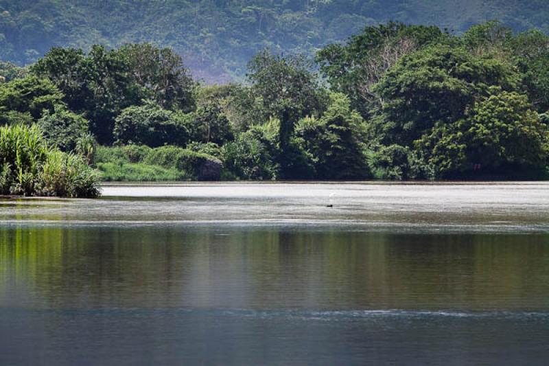 Rio Jerez, Dibulla, La Guajira, Riohacha, Colombia