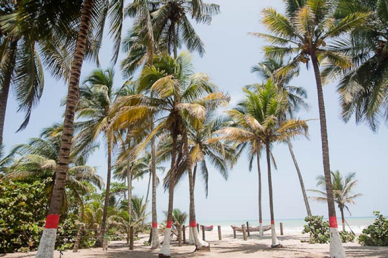 Dibulla, La Guajira, Riohacha, Colombia