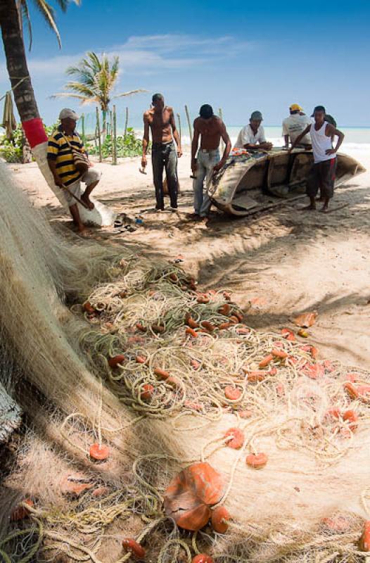 Hombres Trabajando, Dibulla, La Guajira, Riohacha,...