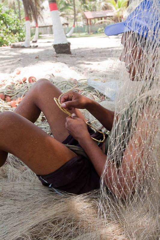 Hombre Trabajando, Dibulla, La Guajira, Riohacha, ...