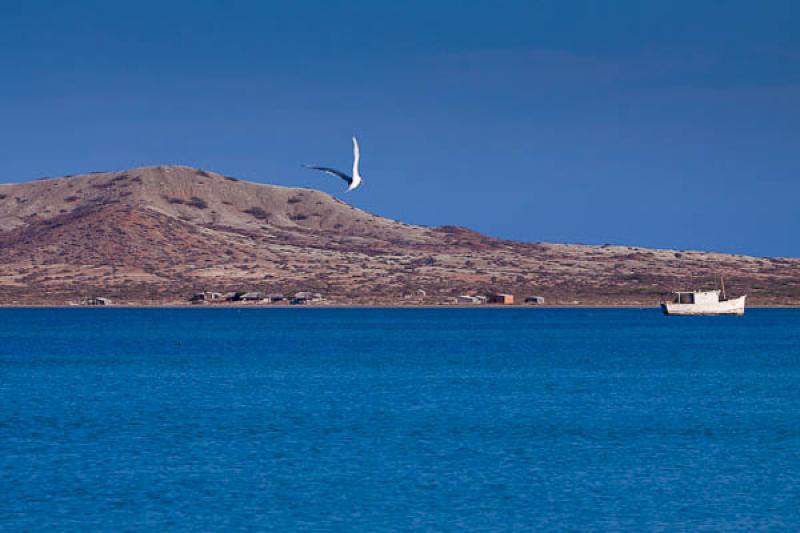 Cabo de la Vela, Peninsula de la Guajira, La Guaji...