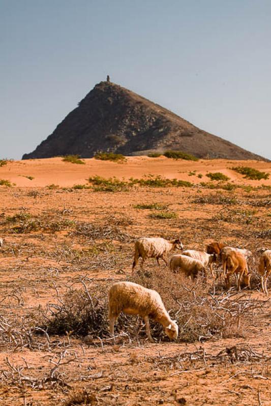 Cabo de la Vela, Peninsula de la Guajira, La Guaji...