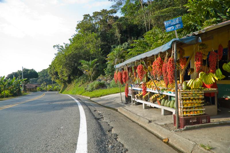 Fruteria en la Carretera, Eje Cafetero, Quindio, A...