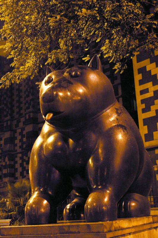 Perro Plaza Botero, Medellin, Antioquia, Colombia