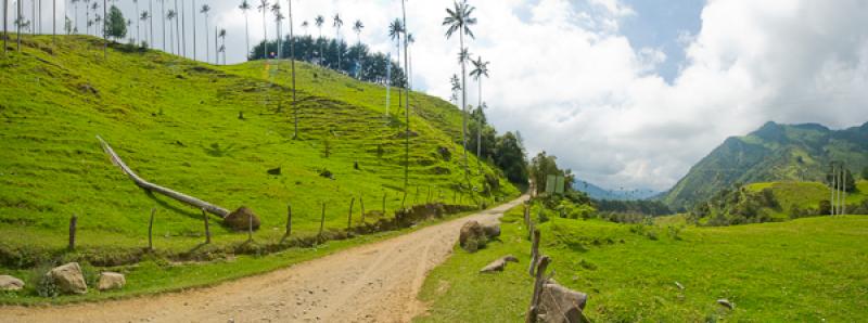 Valle del Cocora, Salento, Quindio, Armenia, Colom...