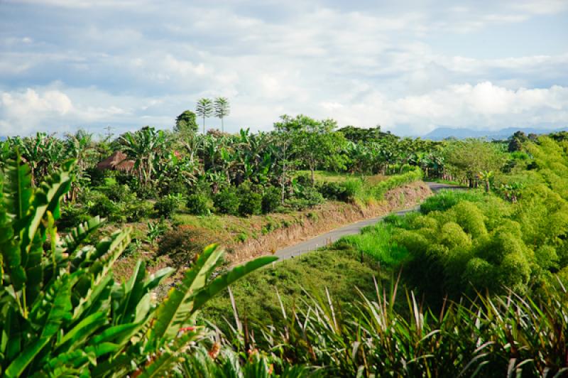 Paisaje de Quimbaya, Quindio, Armenia, Colombia