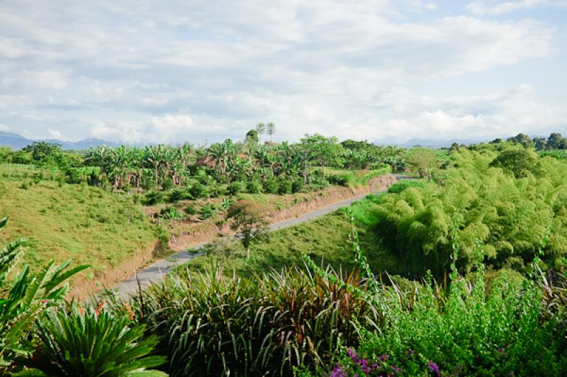 Paisaje de Quimbaya, Quindio, Armenia, Colombia