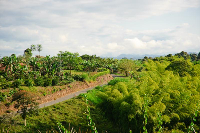 Paisaje de Quimbaya, Quindio, Armenia, Colombia