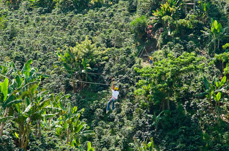 Deporte de Canopy, Eje Cafetero, Quindio, Armenia,...